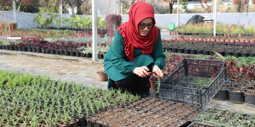 Kadın emeği sokakları süslüyor! 1 milyona yakın çiçek dikimi başladı 2